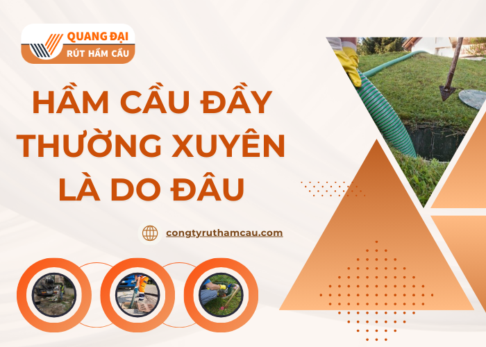 Nguyên nhân nào dẫn đến tình trạng hầm cầu nhanh chóng đầy?